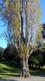 20151011_173302