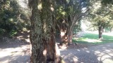 20151011_174237