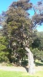 20151011_174413