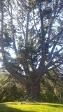 20151011_174907