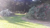 20151011_175031