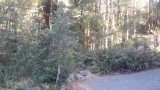 20151011_182405