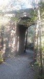 20151011_182549