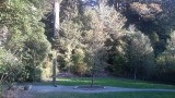 20151011_182819