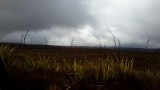 20151013_121335