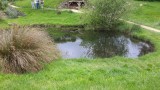 20151017_100206