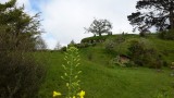 20151017_100528