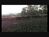 20152607