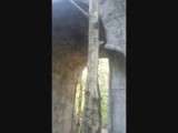 Poort rivendell