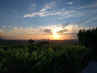 CameraZOOM-20170514195928038
