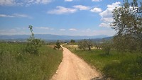 IMG-20170518-WA0024