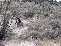 IMG-20190518-WA0002