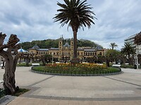 San Sebastian tulpen uit Breezand