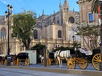 Sevilla Cathedral