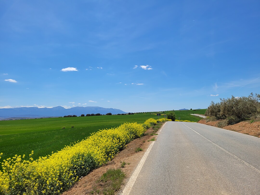 Andalusië