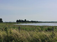 Hollands landschap