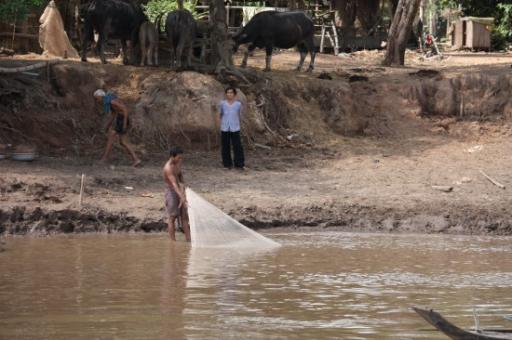 Vissen in de Mekong