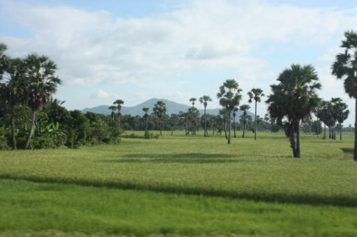 Uitzicht vanuit de bus