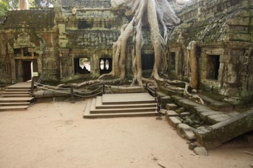 Tomb Raider tempel
