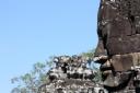 Tample of faces