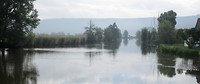 Een waterig zonnetje aan het begin van de dag