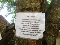 Briefje aan de boom