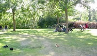 Konijnen en kippen rond de tent