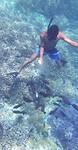 Snorkelen