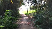 Eiland fietsen