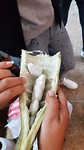 20190718_111407