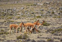 IMG-20190722-WA0006