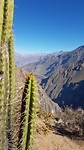 20190722_085550