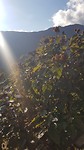 20190731_075819