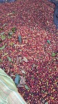 20190730_162000
