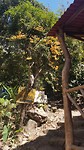 20190730_114204