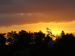 Late in the evening