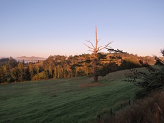 Morning has broken