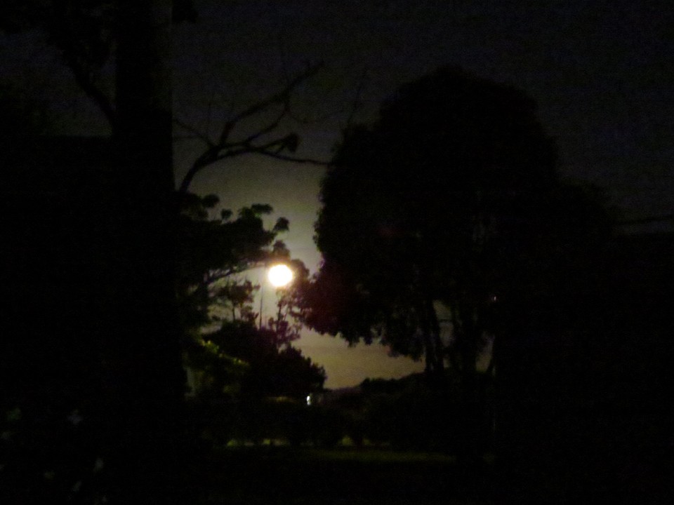 Moonshadow