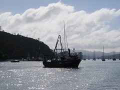 Lovely bay