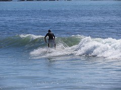 Surfing