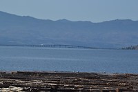 DSC_0683
