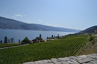 DSC_0695