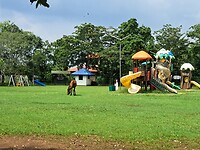 Kinderspeelplaats