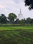 Mijn 1e kennismaking met Stupa's