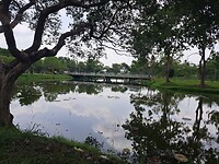 Het meet bij Royal gardens