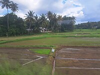 Uit raampje in de trein vanuit Gampaha