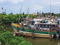 Haven