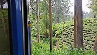Onderweg van Kandy naar Nuwara Eliya