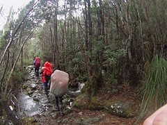 Overland Track
