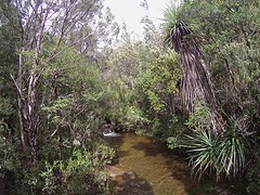 Overland Track